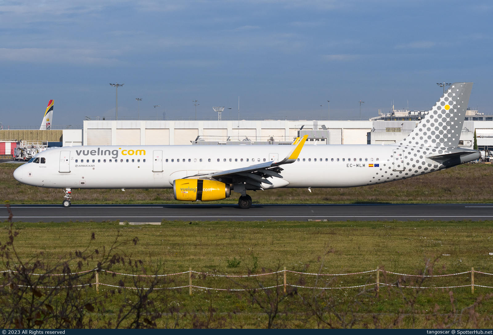 Photo of EC-MLM - Airbus A321-231 operated by Vueling