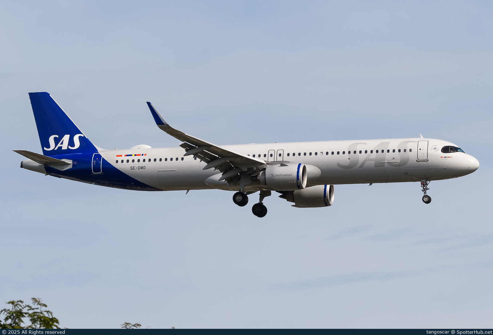 Photo of SE-DMO - Airbus A321-253NX operated by SAS Scandinavian Airlines
