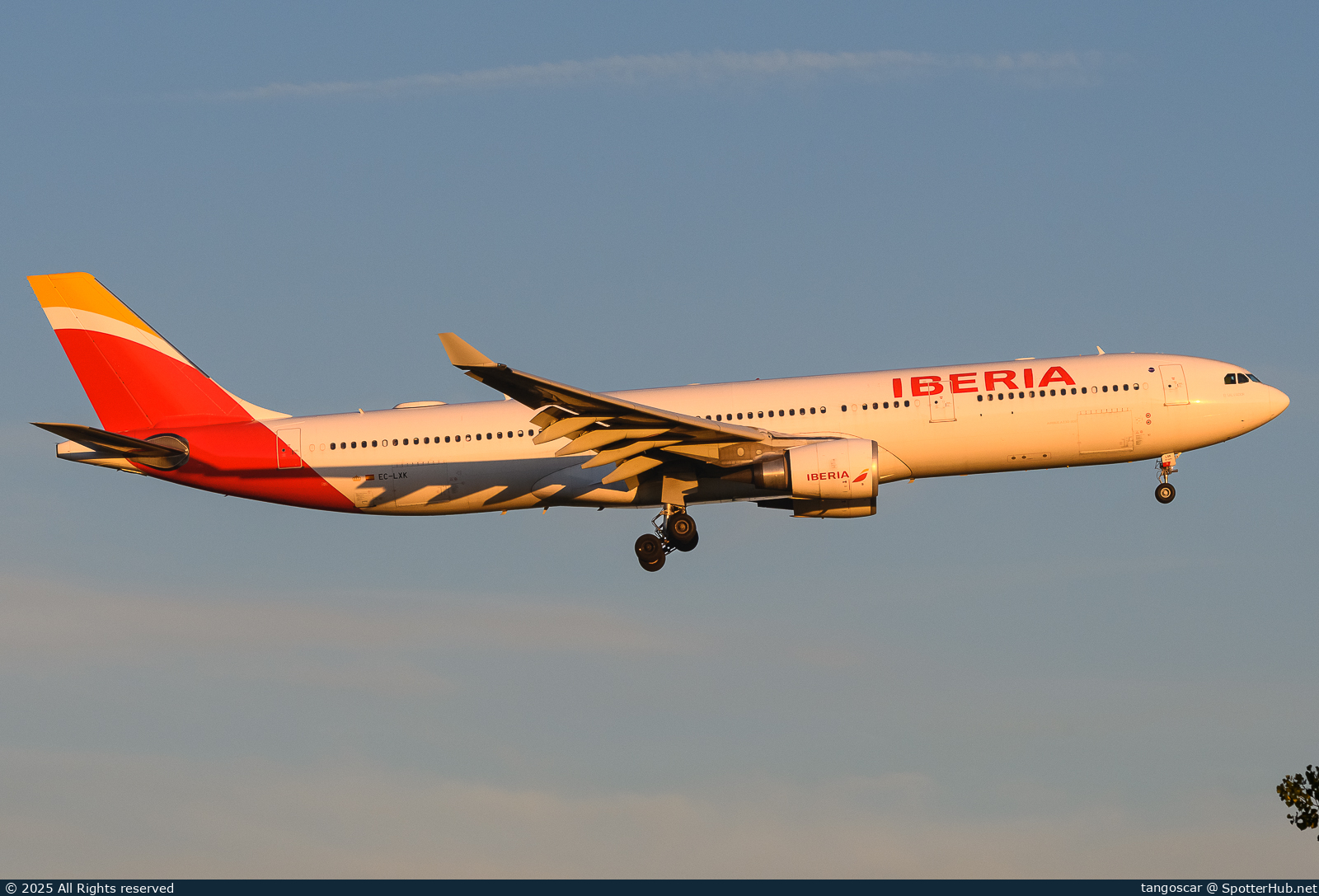Photo of EC-LXK - Airbus A330-302 operated by Iberia