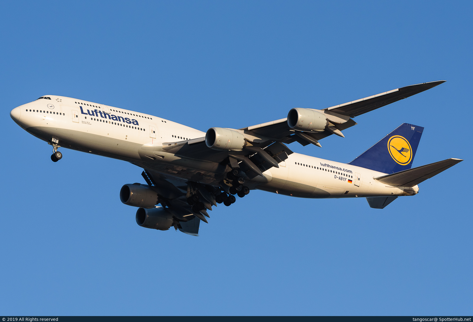 Full size image
