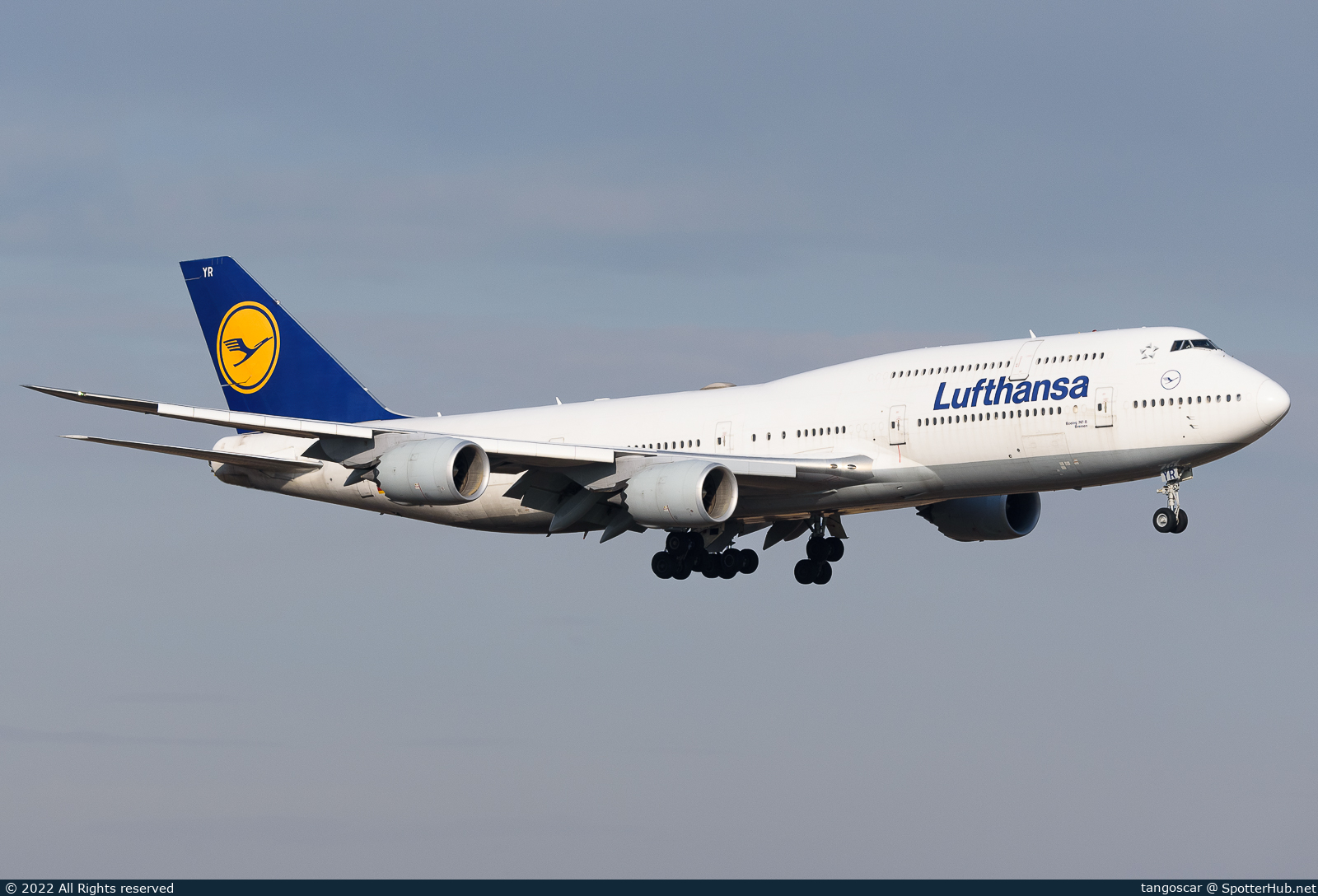 Full size image