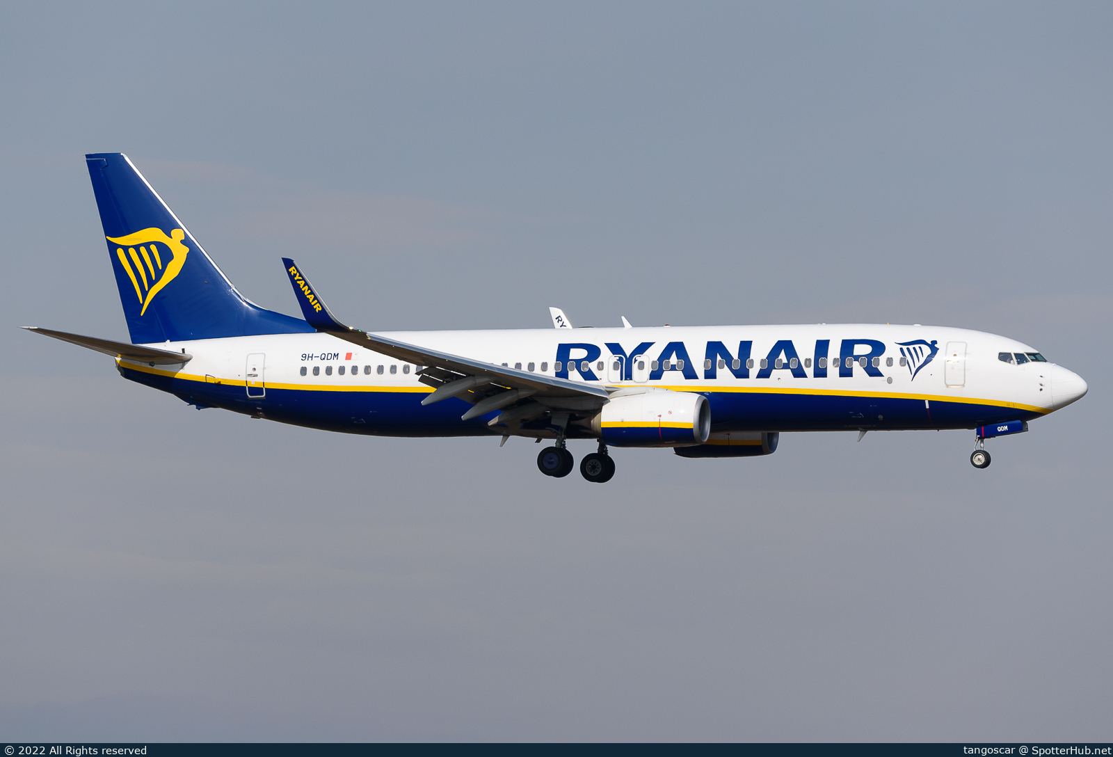 Full size image