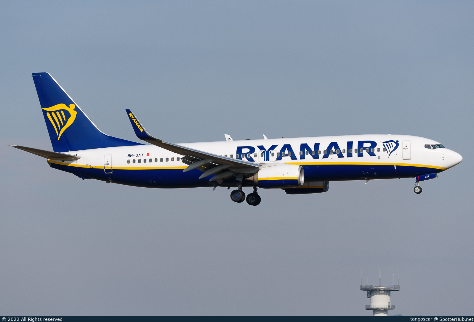 Full size image