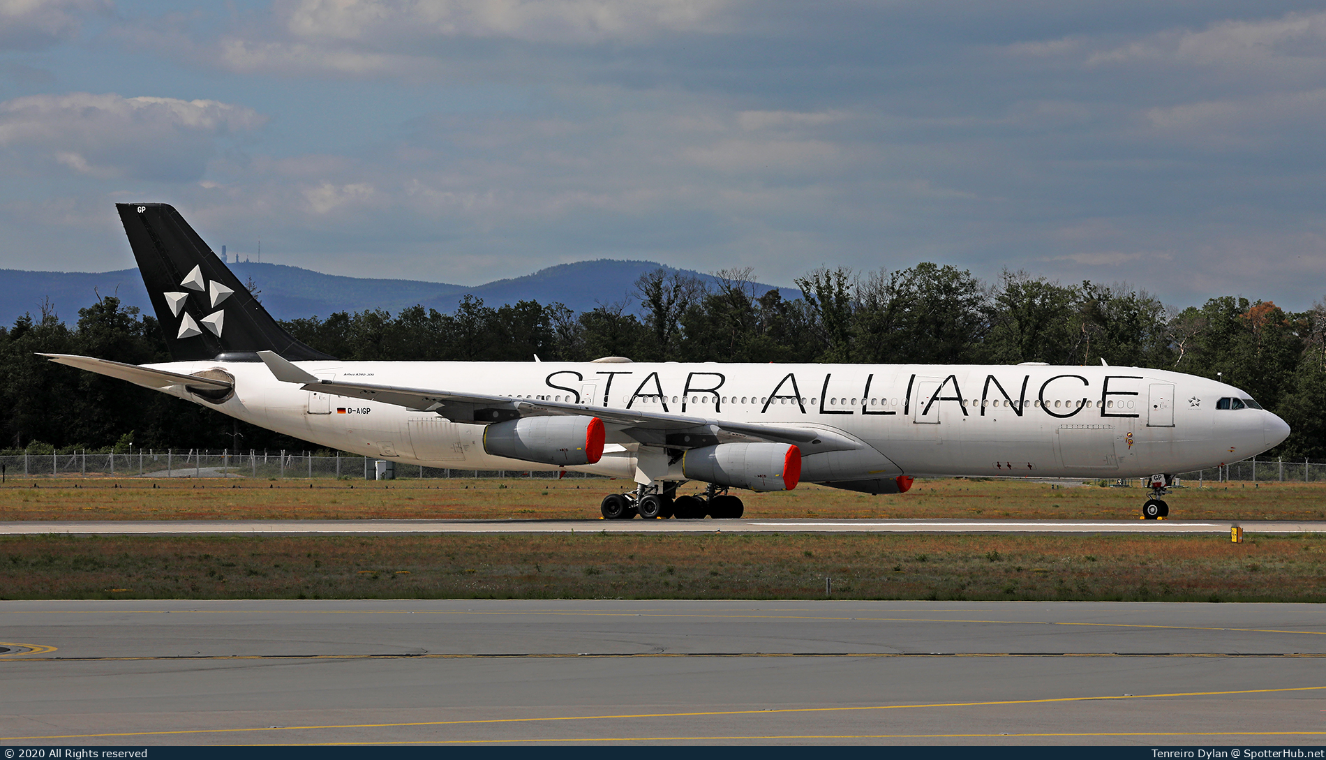 Photo of D-AIGP - Airbus A340-313 operated by Lufthansa