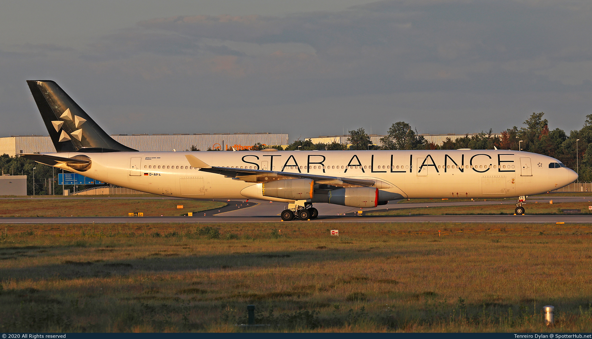 Photo of D-AIFE - Airbus A340-313 operated by Lufthansa