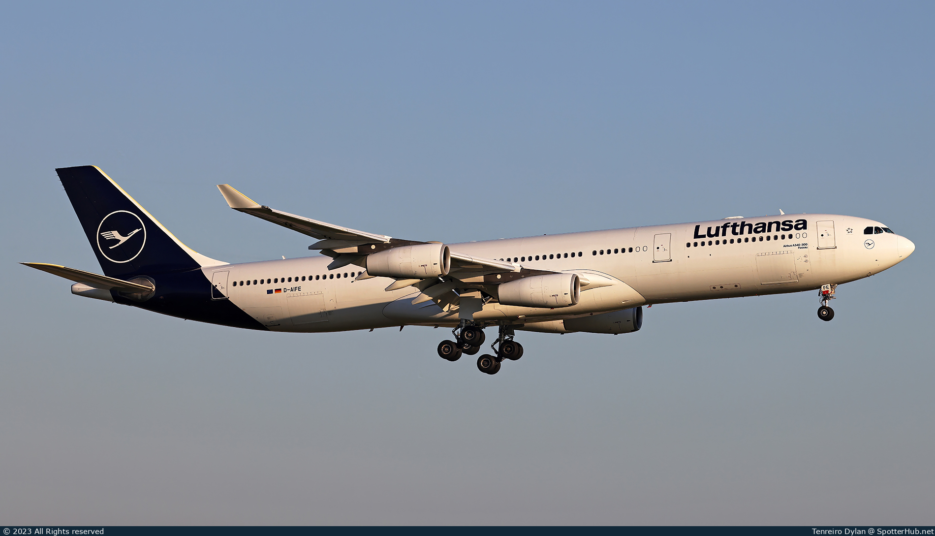 Photo of D-AIFE - Airbus A340-313 operated by Lufthansa