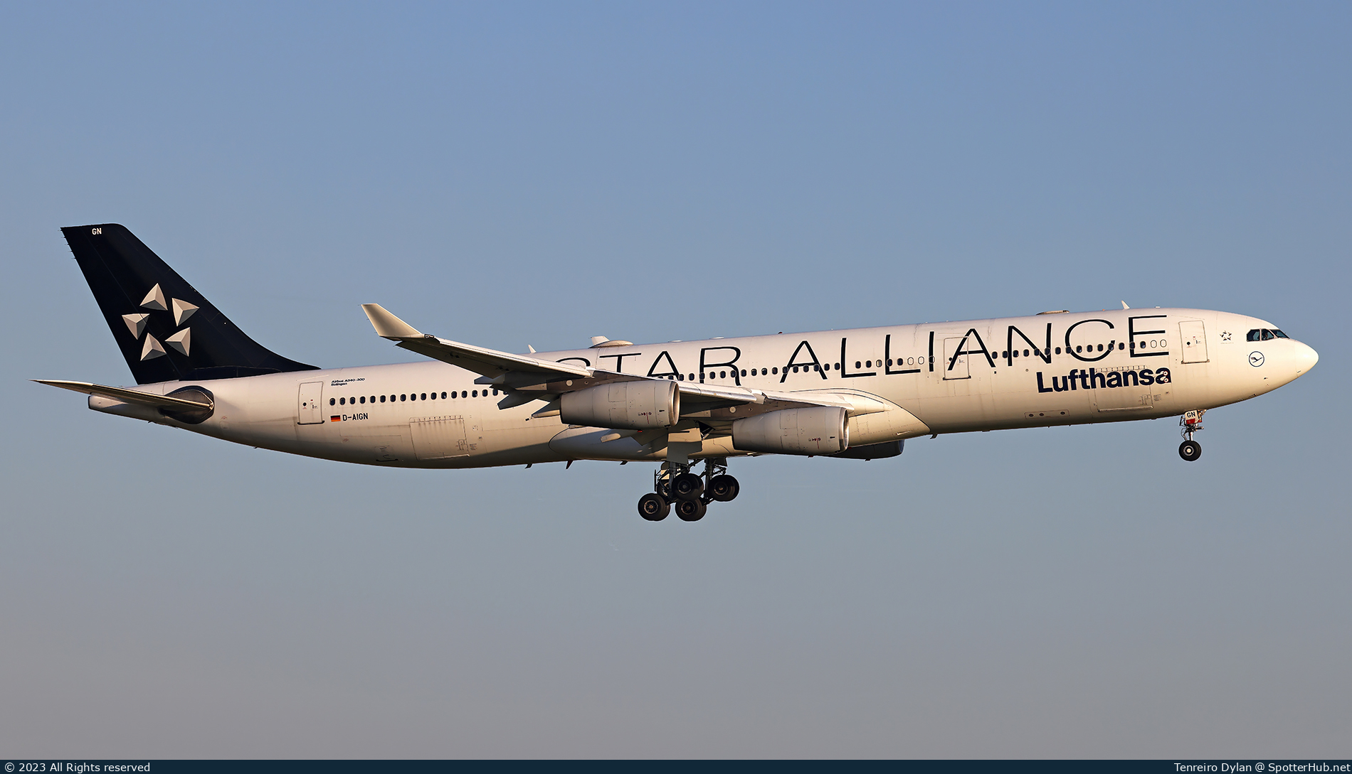 Photo of D-AIGN - Airbus A340-313 operated by Lufthansa
