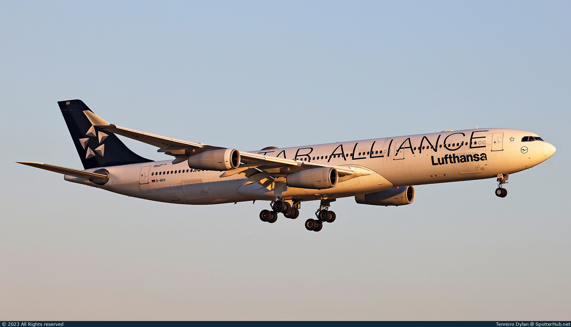 Photo of D-AIGV - Airbus A340-313 operated by Lufthansa