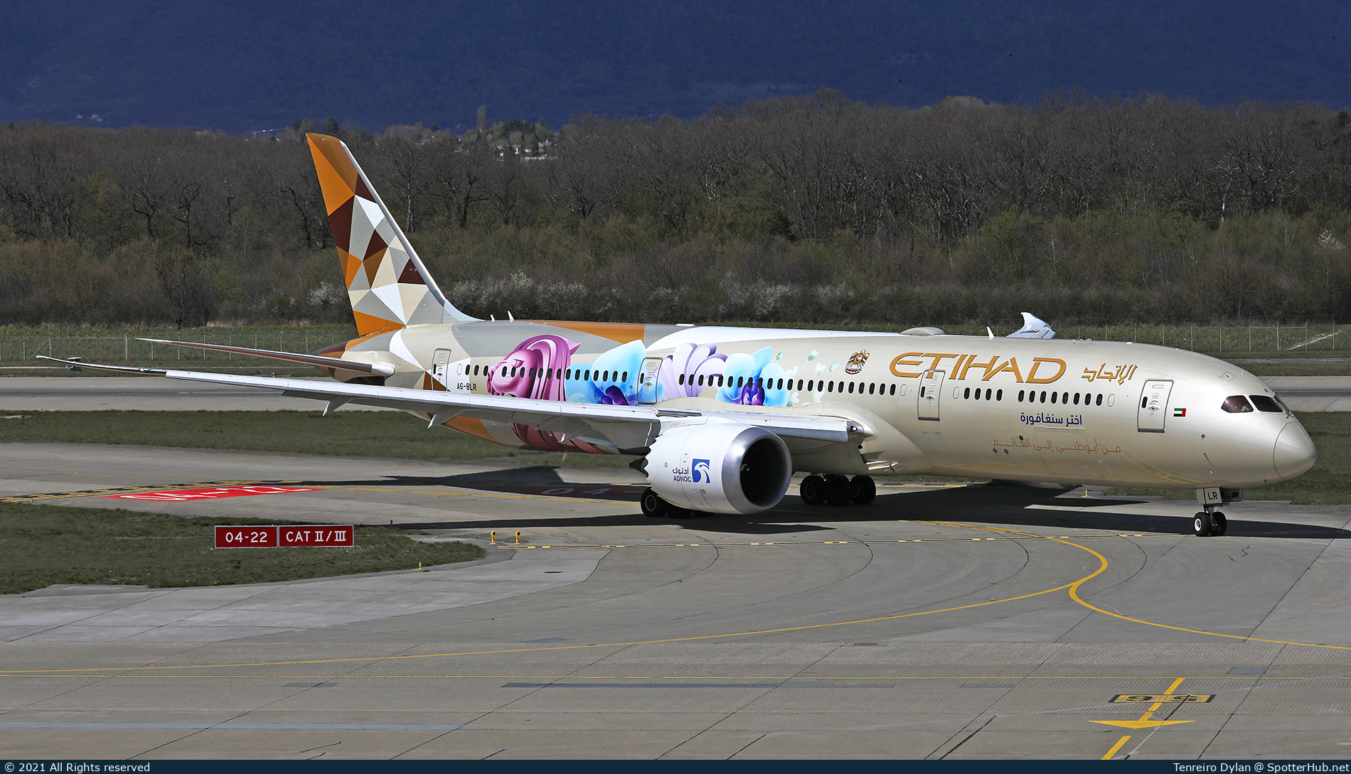 Photo of A6-BLR - Boeing 787-9 Dreamliner operated by Etihad Airways