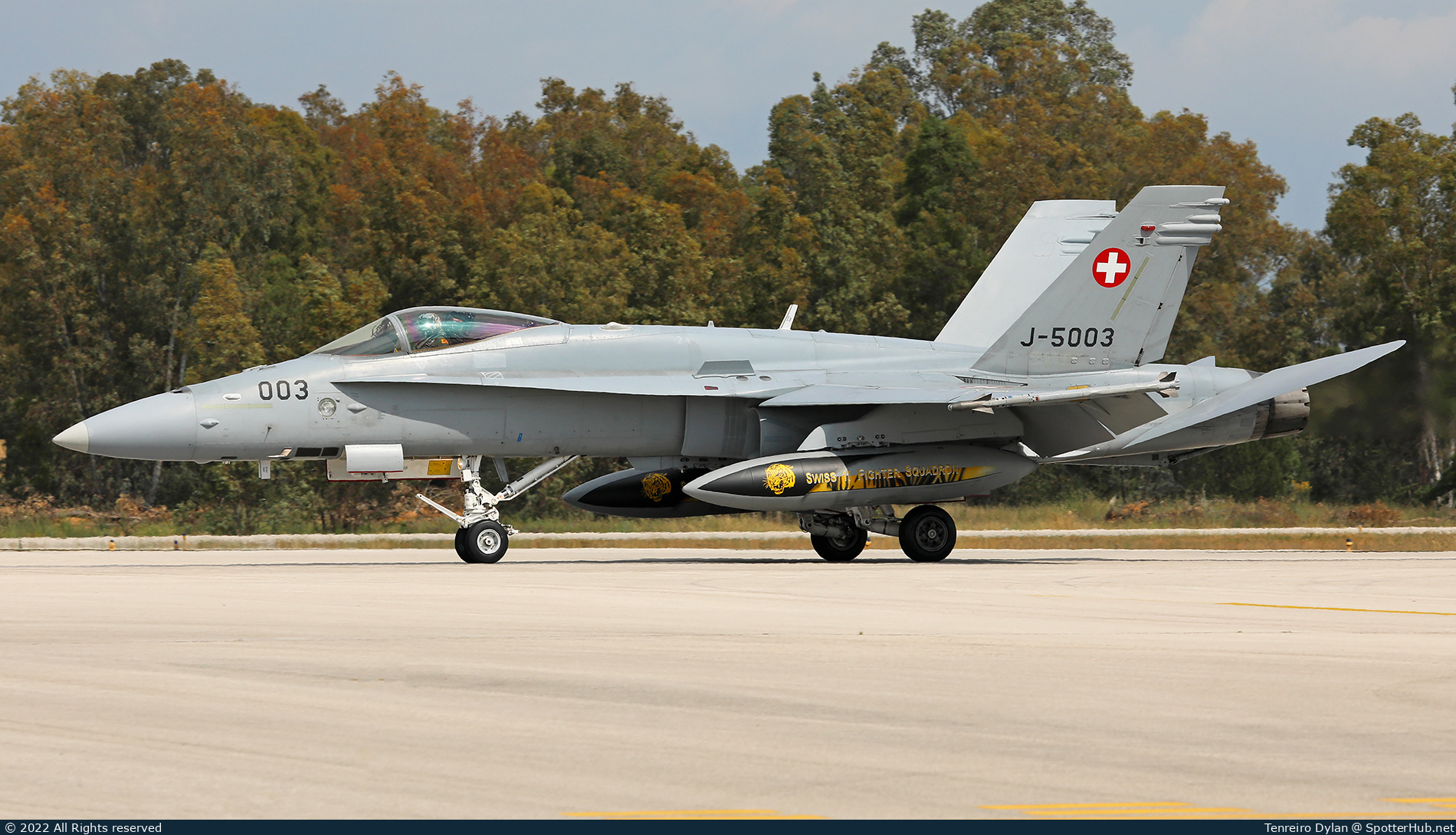 Photo of J-5003 - McDonnell Douglas F/A-18C Hornet operated by Swiss Air Force