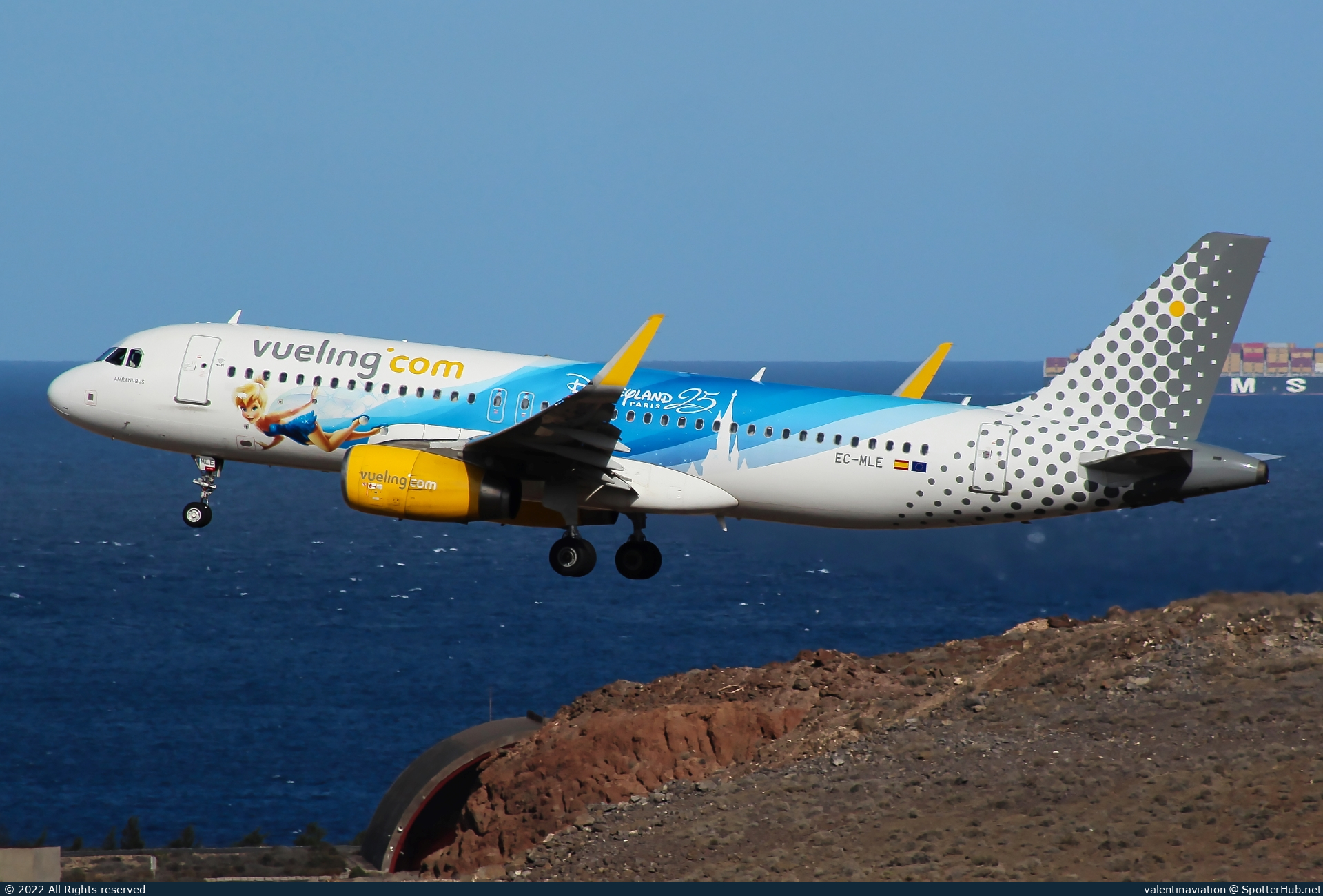 Photo of EC-MLE - Airbus A320-232 operated by Vueling