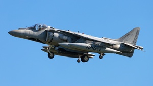 Photo of MM7220 - McDonnell Douglas AV-8B+ Harrier II operated by Italian Navy