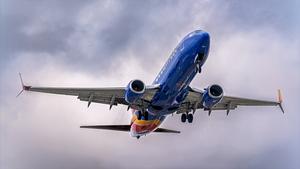 N8677A