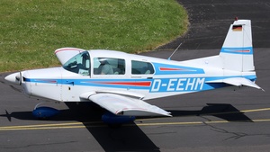 Photo of D-EEHM - Grumman American AA-5 Traveler operated by Private