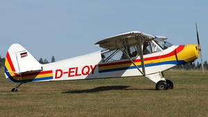 Photo of D-ELQY - Piper PA-18-95 Super Cub operated by Private