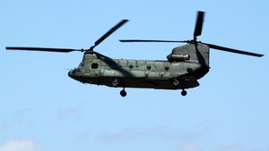 Photo of D-101 - Boeing Vertol CH-47D Chinook operated by Royal Netherlands Air Force