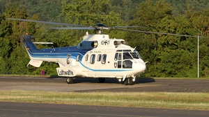 Photo of 82+01 - Eurocopter AS532U2 Cougar operated by German Air Force