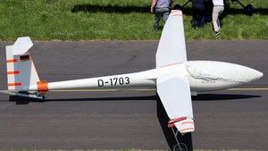 Photo of D-1703 - DG Flugzeugbau DG-300 Elan operated by Private