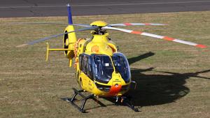 D-HSHP