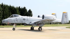 81-0960