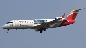 EC-NLM
