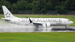 Photo of 9V-MBL - Boeing 737 MAX 8 operated by Singapore Airlines