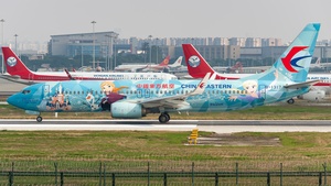 Photo of B-1317 - Boeing 737-89P operated by China Eastern Airlines