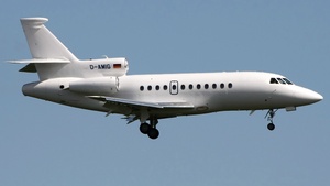 D-AMIG