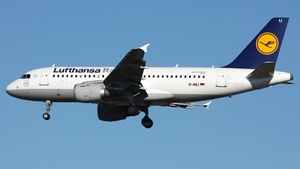 D-AILI