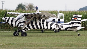D-MZEB