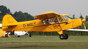 D-MRLT