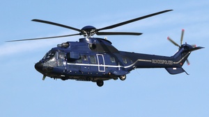 D-HEGA