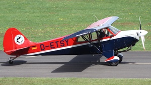 Photo of D-ETSY - Aviat A-1 Husky operated by Private
