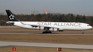 Photo of D-AIFF - Airbus A340-313 operated by Lufthansa CityLine