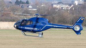 D-HSHF