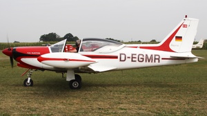 Photo of D-EGMR - SIAI-Marchetti SF.260 operated by Private