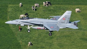 Photo of J-5014 - McDonnell Douglas F/A-18C Hornet operated by Swiss Air Force