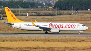 Photo of TC-IZJ - Boeing 737-82R operated by Pegasus Airlines