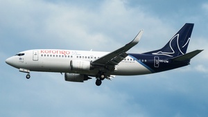 Photo of OO-LTM - Boeing 737-3M8 operated by Korongo Airlines (opb Brussels Airlines)