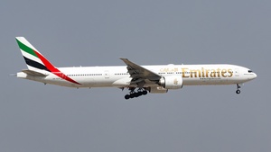 A6-ECH