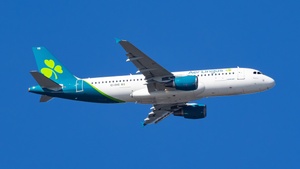 EI-DVG