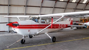 D-ELFN