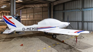 D-MEMX