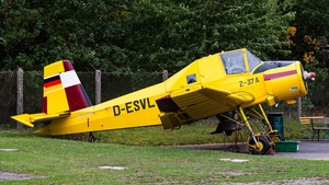 D-ESVL