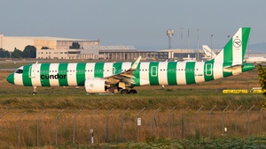 D-ANMY