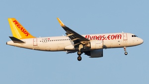 TC-NCM