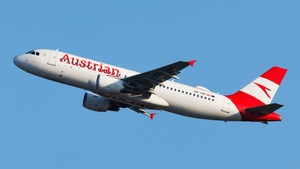 OE-LBP