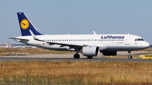 D-AINF