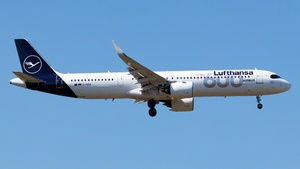 D-AIEQ