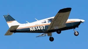 N81497